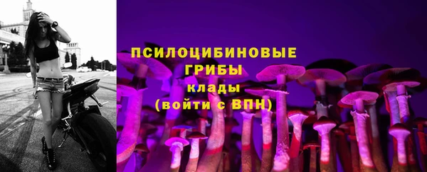 молекула духа Армянск
