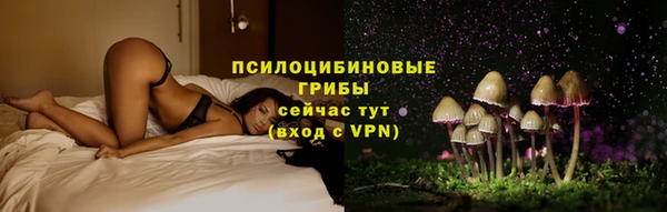 прущий лед Костерёво