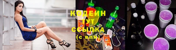 ПСИЛОЦИБИНОВЫЕ ГРИБЫ Корсаков