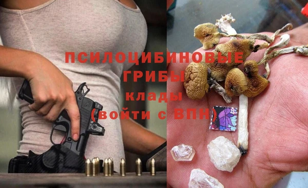 молекула духа Армянск