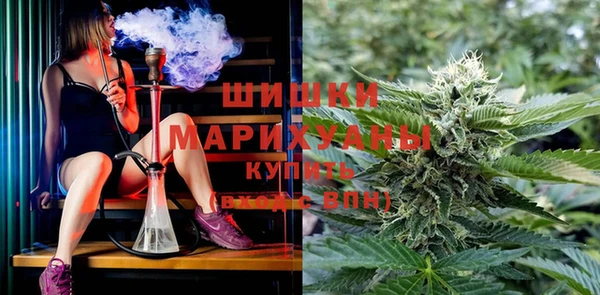 прущая мука Арсеньев