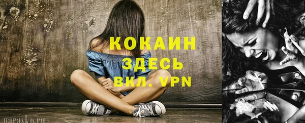 прущая мука Арсеньев