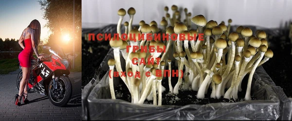 прущая мука Арсеньев